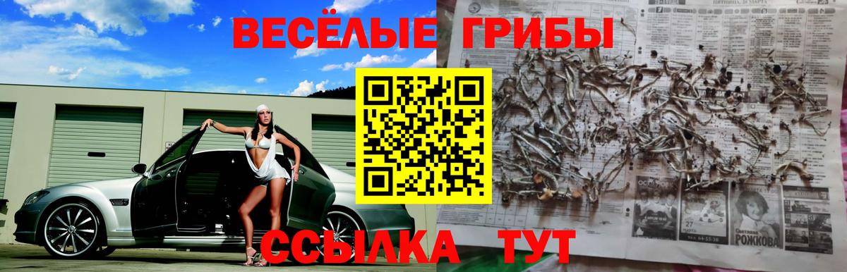 Камень-на-Оби  Псилоцибиновые грибы мухоморы  Галлюциногенные грибы мицелий  Вход с VPN 